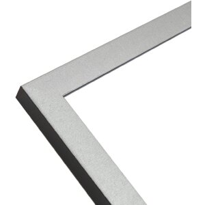Marco Deknudt S47EE2 Color Plata Canto Negro 18x24 cm