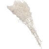 Clayre & Eef 5DF0043 Flores Secas Blancas 8x4x60 cm