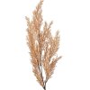 Clayre & Eef 5PL0053 Rama Decorativa Aspecto Natural Beige 10x4x75 cm