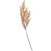 Clayre & Eef 5PL0053 Rama Decorativa Aspecto Natural Beige 10x4x75 cm