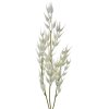 Clayre & Eef 5PL0060 Rama Artificial Blanca 15x2x72 cm