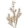 Clayre & Eef 5PL0061 Rama decorativa Beige aspecto natural 15x2x72 cm