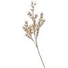 Clayre & Eef 5PL0061 Rama decorativa Beige aspecto natural 15x2x72 cm