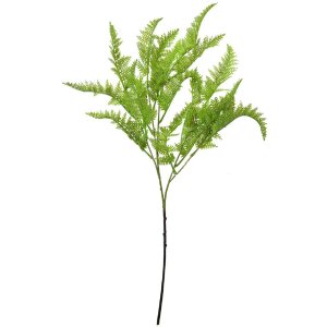 Clayre & Eef 5PL0081 Rama decorativa helecho...