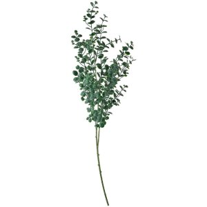 Clayre & Eef 5PL0084 Rama decorativa verde 8x3x70 cm