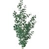 Clayre & Eef 5PL0084 Rama decorativa verde 8x3x70 cm