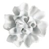 Clayre & Eef 65305 Pomo de puerta en forma de flor de cerámica blanca Ø 6x3/6 cm