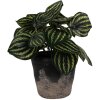 Clayre & Eef 6CE1719S Decoración Maceta Ø 12x11 cm Negro Gris
