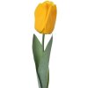 Clayre & Eef 6PL0235 Flor artificial Tulipán amarillo 6x6x50 cm