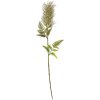 Clayre & Eef 6PL0257 Rama decorativa Verde 5x5x60 cm