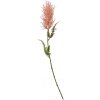 Clayre & Eef 6PL0258 Decoración ramita 5x5x60 cm rosa artificial
