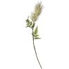 Clayre & Eef 6PL0259 Decoración Rama Crema 5x5x60 cm