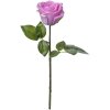 Clayre & Eef 6PL0273 Flor artificial Morado 8x8x44 cm
