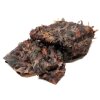 Red de camuflaje Buteo Photo Gear 1 hoja de color 2,4x3 m