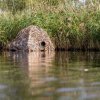 Red de camuflaje Buteo Photo Gear 4 junco/hierba 1,5x3 m