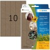 HERMA 2072 Etiquetas multiuso 20 x 75 mm Papel Silphie para etiquetado manual