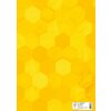HERMA 20081 Protector de folletos cartón X A4 Amarillo