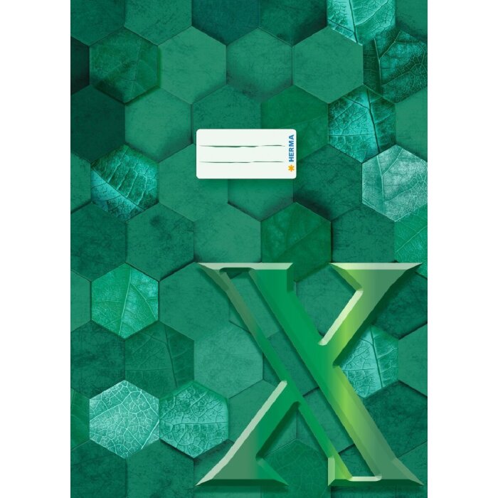 HERMA 20087 Protector de folletos cartón X A4 verde oscuro
