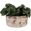 Clayre & Eef 6TE0529L Maceta Terracota Beige Marrón Ø 23x11 cm Estilo Campestre