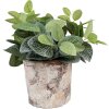 Clayre & Eef 6TE0523M Maceta Terracota Beige Ø 18x15 cm Estilo Campestre
