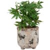 Clayre & Eef 6TE0525L Maceta Terracota Beige Verde Ø 17x17 cm Estilo Campestre