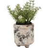 Clayre & Eef 6TE0525S Maceta Terracota Beige Verde Ø 9x10 cm Estilo Campestre