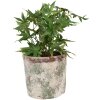 Clayre & Eef 6TE0526XL Maceta Terracota Beige Ø 18x16 cm Estilo Campestre