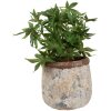 Clayre & Eef 6TE0527L Maceta Terracota Beige Ø 18x17 cm Estilo Campestre