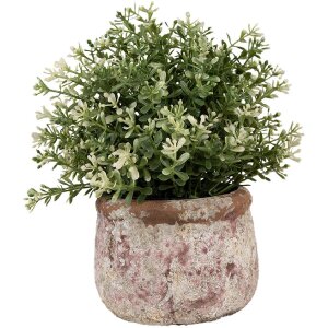 Clayre & Eef 6TE0527S Maceta Terracota Beige Ø...