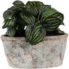Clayre & Eef 6TE0528L Maceta Terracota Beige Azul 26x13x12 cm Estilo Campestre