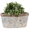 Clayre & Eef 6TE0528M Maceta Terracota Beige Azul 19x11x10 cm Estilo Campestre