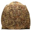 Carpa de camuflaje Buteo Photo Gear Aquila Mark II caña