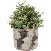Clayre & Eef 6TE0516L Maceta Terracota Beige Verde Ø 17x15 cm Estilo Campestre
