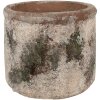 Clayre & Eef 6TE0516M Maceta Beige Verde Ø 14x12 cm
