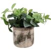 Clayre & Eef 6TE0516M Maceta Beige Verde Ø 14x12 cm