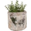 Clayre & Eef 6TE0516S Maceta Terracota Beige Verde Ø 12x11 cm Estilo Campestre