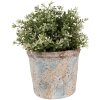 Maceta Clayre & Eef Beige Verde Ø 14x12 cm Estilo Campestre