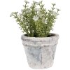 Clayre & Eef 6TE0520S Maceta Terracota Blanca Azul Ø 10x8 cm Estilo Campestre