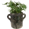 Clayre & Eef 6TE0521L Maceta Verde 26x17x20 cm