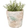 Clayre & Eef 6TE0531S Maceta Ø 11x11 cm