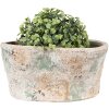 Clayre & Eef 6TE0533M Maceta Beige Verde 22x13x11 cm