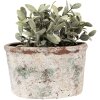 Clayre & Eef 6TE0534L Maceta 21x13x12 cm