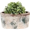 Clayre & Eef 6TE0534M Maceta 21x12x11 cm
