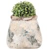 Clayre & Eef 6TE0536L Maceta 22x15x19 cm