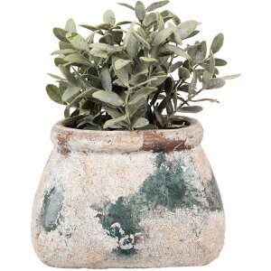Clayre & Eef 6TE0536M Maceta Beige Verde 20x14x13 cm...