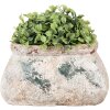 Clayre & Eef 6TE0536S Maceta 17x13x9 cm