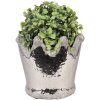 Clayre & Eef 6TE0540M Maceta Terracota Plata Ø 15x14 cm