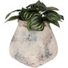 Clayre & Eef 6TE0532L Maceta Beige 18x18x17 cm