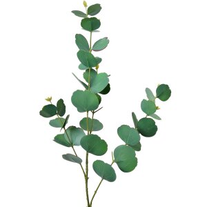 Clayre & Eef 5PL0104 Decoración Rama 18x6x85 cm