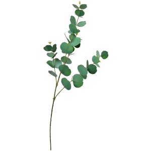 Clayre & Eef 5PL0104 Decoración Rama 18x6x85 cm